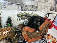 processed/0a9a5d7c-6343-4320-8cc0-0d9f33f91ac6/listing/25fe3044-c158-40bb-bfdd-7b81c538ffa6/d1fafde1-302a-4ee1-9420-202362598faa