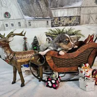 Brown, a male Toy Australian Shepherd for sale in Del Valle, TX – Photo 9 of 9