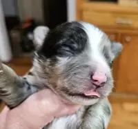 processed/0a9a5d7c-6343-4320-8cc0-0d9f33f91ac6/listing/afbf2881-bc25-42bd-9f8c-c3993f91d268/242d2b1b-5ebf-4e39-a6c0-2298680adc2b