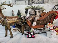 processed/0a9a5d7c-6343-4320-8cc0-0d9f33f91ac6/listing/afbf2881-bc25-42bd-9f8c-c3993f91d268/2ecb83d4-dfd4-419b-9f68-842fef470724