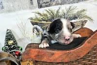 processed/0a9a5d7c-6343-4320-8cc0-0d9f33f91ac6/listing/afbf2881-bc25-42bd-9f8c-c3993f91d268/73666588-9873-4a83-bda9-585900358202