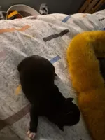 processed/0a9b874c-9135-4c6a-a78d-ca00bd2a7b2d/listing/6fe8c622-1714-4c6a-9e15-7fe8f136768e/3cadd19f-50f0-40a6-bbf4-e8a02f6c97d8