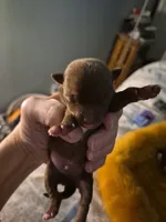 processed/0a9b874c-9135-4c6a-a78d-ca00bd2a7b2d/listing/eb2212d7-c13f-485b-981c-a19845a868e3/21ec3b53-dd99-4b1d-a4b4-6ece8657fc09