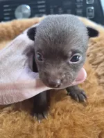 processed/0a9b874c-9135-4c6a-a78d-ca00bd2a7b2d/listing/eb2212d7-c13f-485b-981c-a19845a868e3/8b462b2b-5175-43c3-bf75-7edd9f9988ca