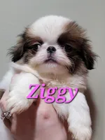 processed/0aa0a9d0-b631-4da0-89de-fc49a3ce68b1/listing/3663b508-85b4-406a-858d-702119f227d3/5d72d010-5df2-4a13-a66e-eceee84bb77f