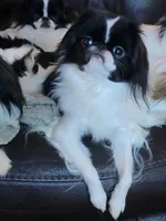 processed/0aa0a9d0-b631-4da0-89de-fc49a3ce68b1/listing/3663b508-85b4-406a-858d-702119f227d3/7b4fcf9c-fffd-4988-8f3f-205a8bafaadf