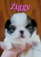 processed/0aa0a9d0-b631-4da0-89de-fc49a3ce68b1/listing/3663b508-85b4-406a-858d-702119f227d3/bb8317ec-0ff7-4512-8b18-bca7e72adb86