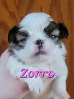 processed/0aa0a9d0-b631-4da0-89de-fc49a3ce68b1/listing/fbdb5ec7-d709-4d63-bf94-e13af3e06a22/54adf2a6-3ac4-44b3-ba76-c6fb2ba76b24