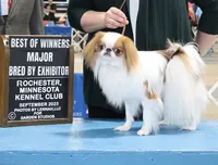 processed/0aa0a9d0-b631-4da0-89de-fc49a3ce68b1/listing/fbdb5ec7-d709-4d63-bf94-e13af3e06a22/bfea5542-9427-49b9-990a-1c98c406b45d