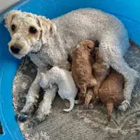 processed/0aa7a099-7c7b-4ea6-8ae1-178d63d3216d/facility/7153e7b6-47a4-4a14-af18-f78438d7ec19