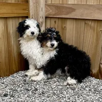 processed/0aa7a099-7c7b-4ea6-8ae1-178d63d3216d/facility/986ceae9-6665-4d49-b4e6-348d6d0812c3