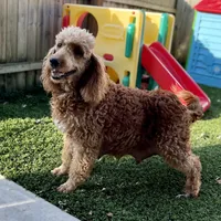 processed/0aa7a099-7c7b-4ea6-8ae1-178d63d3216d/facility/9d51a65d-ad07-4758-8ee9-9f6b6b24dd07