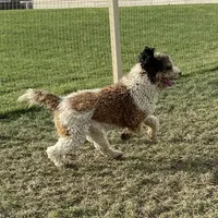 processed/0aa7a099-7c7b-4ea6-8ae1-178d63d3216d/facility/a37daa41-69f1-4918-9908-ea00a79cd559