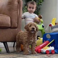 processed/0aa7a099-7c7b-4ea6-8ae1-178d63d3216d/facility/c441b19b-9e65-47a2-8924-e5f847b719bc