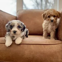 processed/0aa7a099-7c7b-4ea6-8ae1-178d63d3216d/facility/d8e66c39-5177-4848-ade6-a07795717ce3