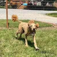 processed/0aa7a099-7c7b-4ea6-8ae1-178d63d3216d/facility/df23b9af-6e83-49d9-b72b-e8ed0c158162