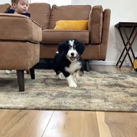 processed/0aa7a099-7c7b-4ea6-8ae1-178d63d3216d/facility/e1a91180-dd27-4d44-aa67-fb59f5cb228b