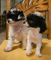 processed/0aa9ae8d-fe52-4a9b-9be3-aa5281b4dc0c/facility/ef3c1536-342c-4e76-9e92-5202ff71ca1f