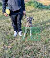 processed/0aab0c4f-30c0-43a1-a03e-6748cb2e4691/listing/1a01c553-3201-423e-bb35-13eefb0b641b/5b5a8cd0-c463-489a-8610-d9d75b7337df