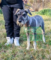 processed/0aab0c4f-30c0-43a1-a03e-6748cb2e4691/listing/1a01c553-3201-423e-bb35-13eefb0b641b/83717b8b-bcd3-492c-90a1-2b44583070b1