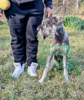 processed/0aab0c4f-30c0-43a1-a03e-6748cb2e4691/listing/1a01c553-3201-423e-bb35-13eefb0b641b/e0129c79-4ee4-487d-a002-646a7f950df8