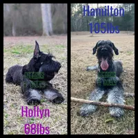 processed/0aab0c4f-30c0-43a1-a03e-6748cb2e4691/listing/1d7d1dcb-b00f-49c5-ab05-50635fe4b9e2/31bdc7ca-c4fa-45bf-98d5-3f50fe3dcf25