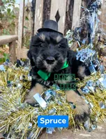 processed/0aab0c4f-30c0-43a1-a03e-6748cb2e4691/listing/1d7d1dcb-b00f-49c5-ab05-50635fe4b9e2/cb84ee98-c265-473b-9d82-4a8254eb5316