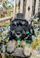 processed/0aab0c4f-30c0-43a1-a03e-6748cb2e4691/listing/1d7d1dcb-b00f-49c5-ab05-50635fe4b9e2/ebd0430e-8951-429c-872d-3c5f09936551