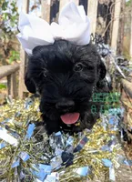 processed/0aab0c4f-30c0-43a1-a03e-6748cb2e4691/listing/eb14e67f-6173-4c9c-9c41-60b2338342c8/169f1c6c-6113-44a7-91f8-a4afcfb2b0a6