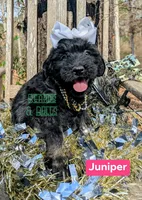 processed/0aab0c4f-30c0-43a1-a03e-6748cb2e4691/listing/eb14e67f-6173-4c9c-9c41-60b2338342c8/37bda618-4920-48f9-9bf8-44b5fce0ab5e