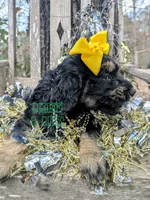 processed/0aab0c4f-30c0-43a1-a03e-6748cb2e4691/listing/edd67e76-2ade-4e8f-9947-ccfb8676e8af/24b1a43f-aed9-4c93-9a88-9c6964210d00