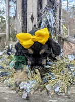 processed/0aab0c4f-30c0-43a1-a03e-6748cb2e4691/listing/edd67e76-2ade-4e8f-9947-ccfb8676e8af/c0f49176-5bfa-41c0-9e4c-600f4f869342