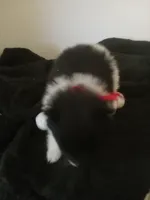 processed/0aad5dd6-8c57-4572-ba6d-af08a6857bd9/listing/35b20728-e53f-4512-bc9f-09b2257b1434/5cc68073-6640-4fde-82f1-b8add9b6ba1c