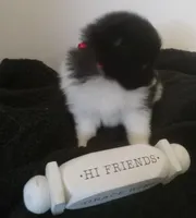 processed/0aad5dd6-8c57-4572-ba6d-af08a6857bd9/listing/35b20728-e53f-4512-bc9f-09b2257b1434/688ba218-cb10-42c8-85f6-3d740147e207