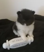 processed/0aad5dd6-8c57-4572-ba6d-af08a6857bd9/listing/35b20728-e53f-4512-bc9f-09b2257b1434/a3702022-f5bc-4423-ac74-ee0c22727287