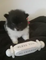 processed/0aad5dd6-8c57-4572-ba6d-af08a6857bd9/listing/35b20728-e53f-4512-bc9f-09b2257b1434/a5fd3598-0970-4e34-856b-ace22be17cb4