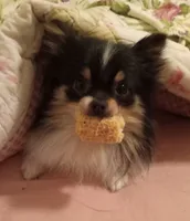 processed/0aad5dd6-8c57-4572-ba6d-af08a6857bd9/listing/35b20728-e53f-4512-bc9f-09b2257b1434/bf20c92c-73ba-442e-837d-3ad177f27ad6