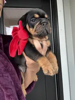 processed/0ab53069-ef68-45f0-b233-9d2fc705d9bb/listing/dd0bf017-e791-4df5-980a-07b49aabaee1/3e61b322-e451-4e44-93bf-86966875d24a