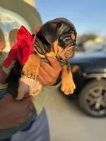 processed/0ab53069-ef68-45f0-b233-9d2fc705d9bb/listing/dd0bf017-e791-4df5-980a-07b49aabaee1/8f1222b8-e380-465d-8829-a136345f8789