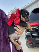 processed/0ab53069-ef68-45f0-b233-9d2fc705d9bb/listing/dd0bf017-e791-4df5-980a-07b49aabaee1/9fdcc878-3f03-47ef-aef4-ebc8043a69d6