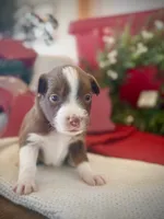 processed/0ab841e1-ad2b-4bb0-8869-debbbba39704/listing/a20e0575-ccd0-4dba-8548-087711335c60/ade8743c-39d5-4c20-b7a2-ec0e2886edd6