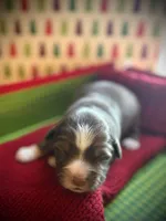 processed/0ab841e1-ad2b-4bb0-8869-debbbba39704/listing/e7b3ca25-3738-44fb-9faf-ce38ebcda387/65f52f23-da89-43b3-abc8-a970d8b34e2f