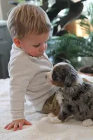 processed/0ab8598b-b9f5-454a-9758-64270c60f34d/listing/0bd1f75c-8085-4364-a5af-8d88477ca02d/6f098938-0187-4df1-bc03-07abb9e3cd97