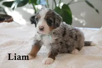 processed/0ab8598b-b9f5-454a-9758-64270c60f34d/listing/0bd1f75c-8085-4364-a5af-8d88477ca02d/ec2c3fa3-9408-4596-be14-78ff6fa3ee68