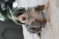 processed/0ab8598b-b9f5-454a-9758-64270c60f34d/listing/0bd1f75c-8085-4364-a5af-8d88477ca02d/fefd442d-dd7c-48b6-b012-8d01b093b3ab