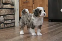 processed/0ab8598b-b9f5-454a-9758-64270c60f34d/listing/43917b7b-fb66-4cfe-ac8f-0920c3a5bbd6/18a57817-6253-483d-9540-1dd6eb1569d1