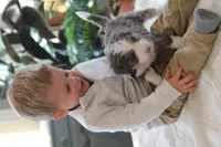 processed/0ab8598b-b9f5-454a-9758-64270c60f34d/listing/43917b7b-fb66-4cfe-ac8f-0920c3a5bbd6/26477514-f7a4-4c8b-9a90-2193ee09d5c1