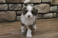 processed/0ab8598b-b9f5-454a-9758-64270c60f34d/listing/43917b7b-fb66-4cfe-ac8f-0920c3a5bbd6/507cbd69-a4a0-4c64-860d-a1b2340abf4e