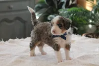 processed/0ab8598b-b9f5-454a-9758-64270c60f34d/listing/43917b7b-fb66-4cfe-ac8f-0920c3a5bbd6/5770ec90-257d-4a87-95fc-9278bdf83935