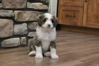 processed/0ab8598b-b9f5-454a-9758-64270c60f34d/listing/43917b7b-fb66-4cfe-ac8f-0920c3a5bbd6/837fcf1f-20ef-4202-a19b-437fc6b2b3e0